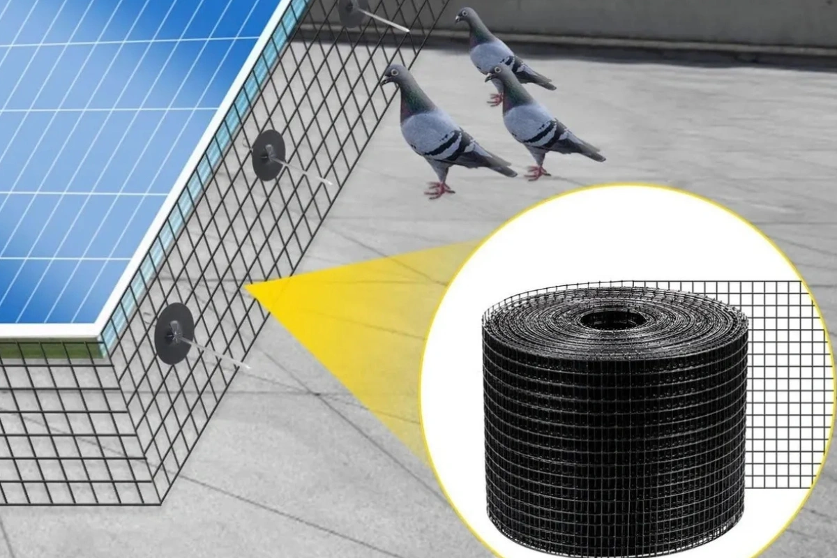 California Bird Proofing services