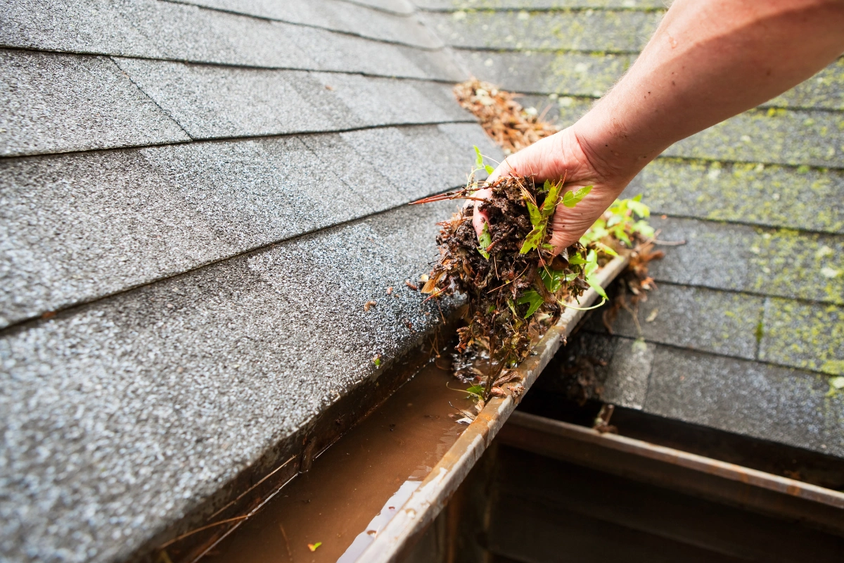 Gutter Cleaning Services in Pleasanton, CA