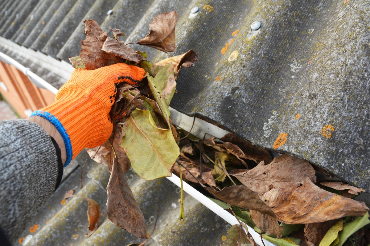Gutter Cleaning Services in Santa Clara, CA