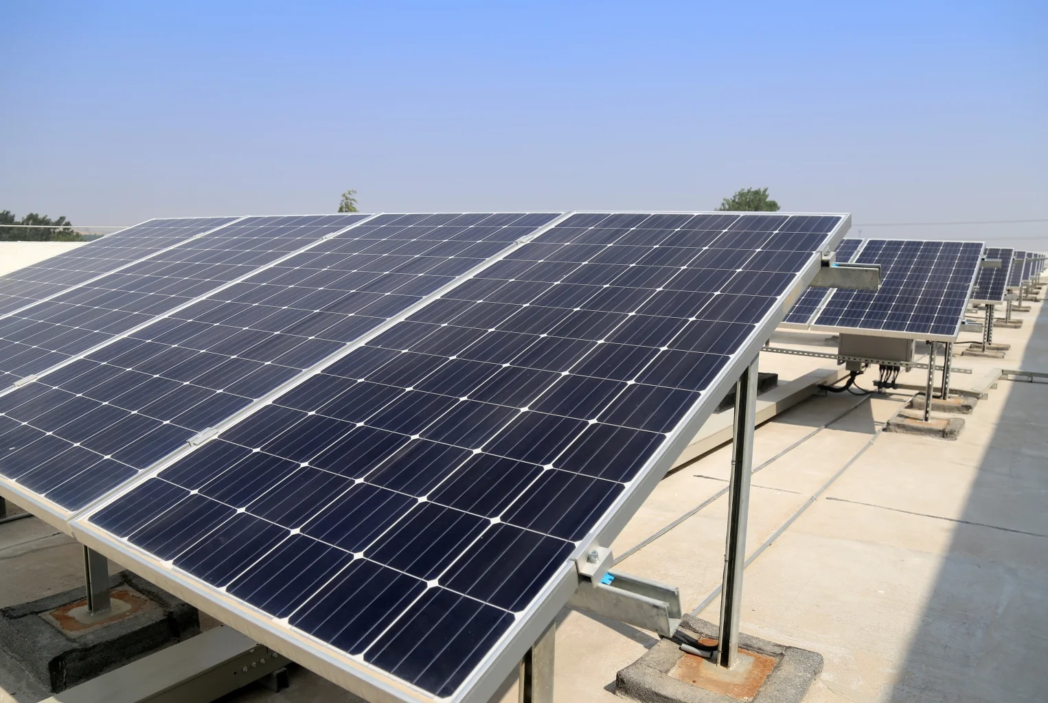 Solar panel washing service in Cupertino near trees