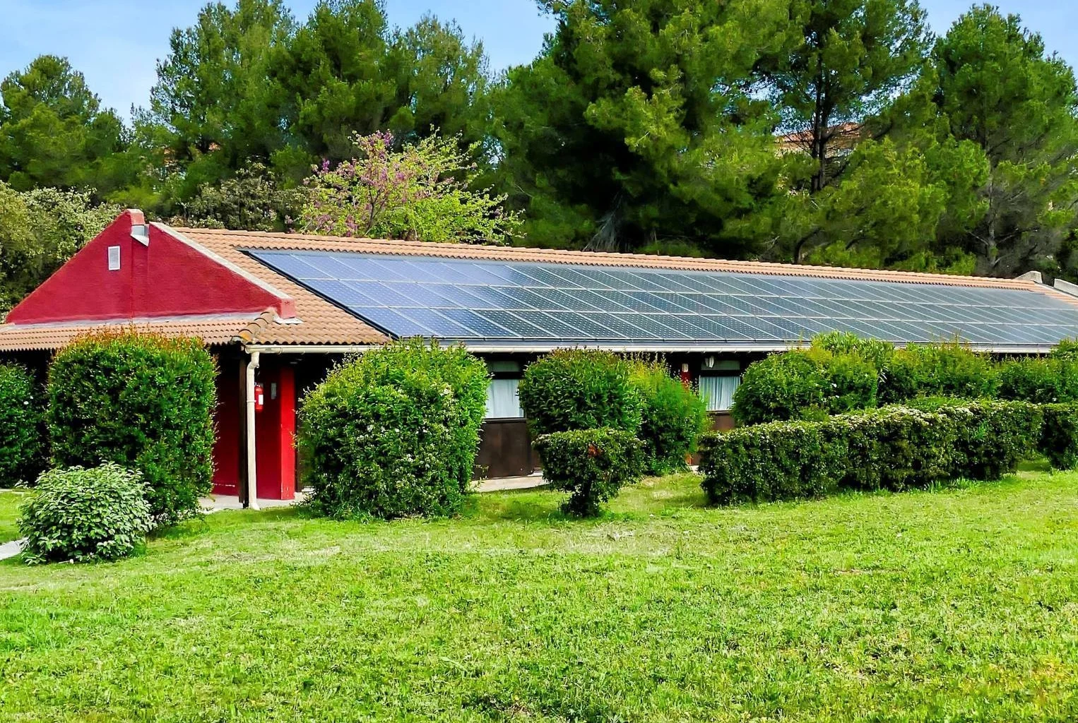 Solar panel washing service in Castro Valley near trees