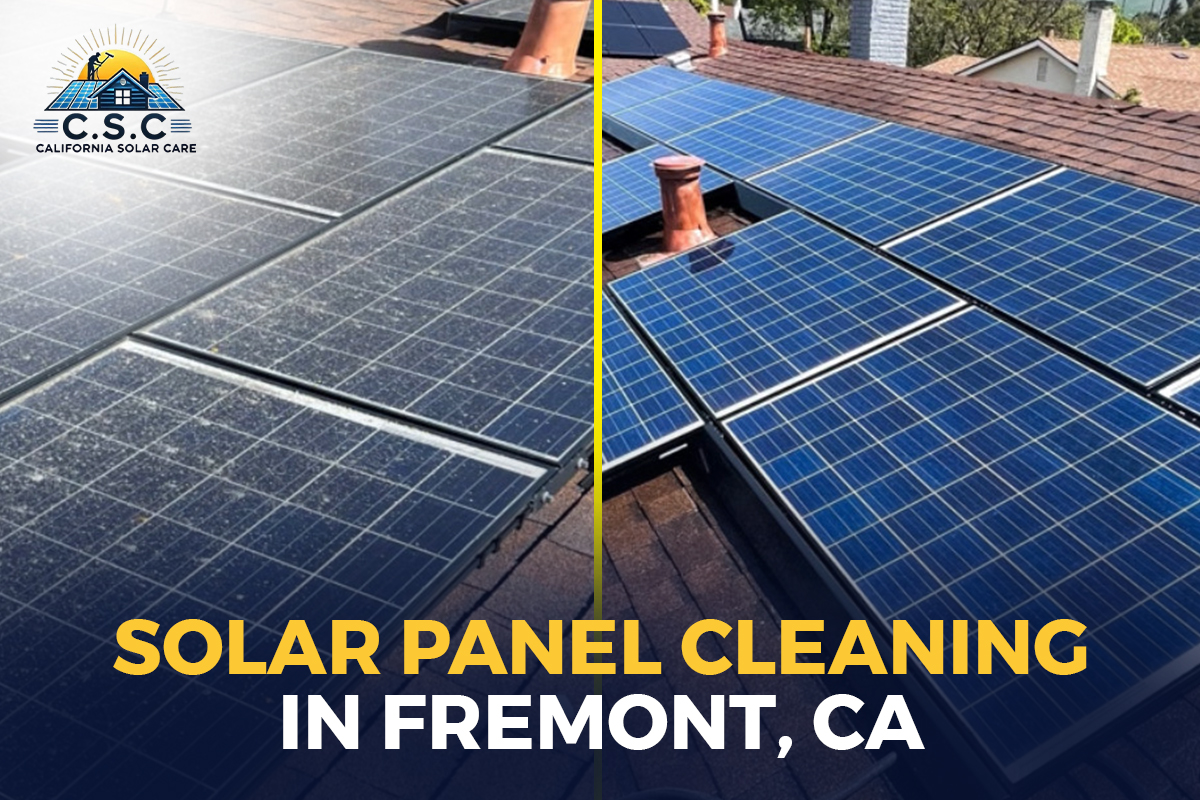 solar panel cleaning Fremont, CA